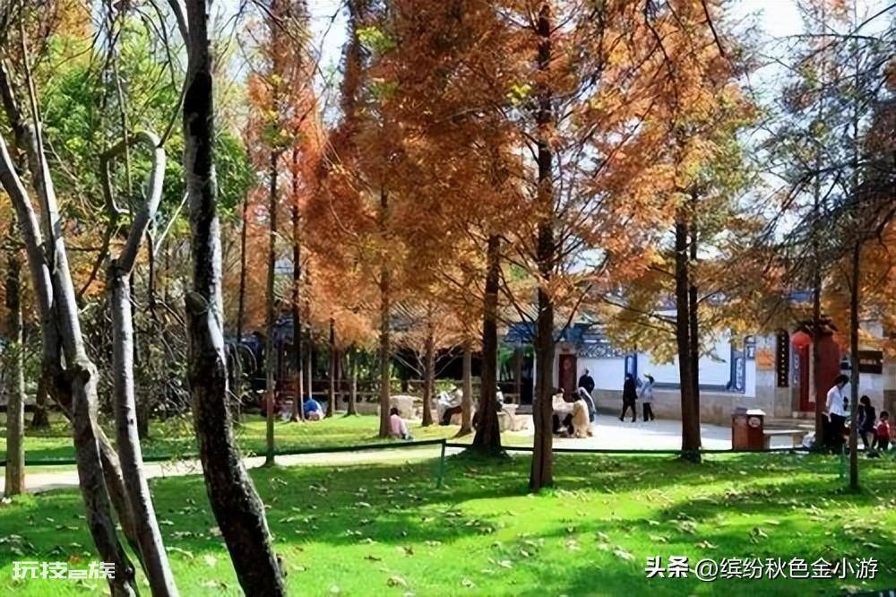 昆明有什么好玩的地方景点(昆明免费的旅游景点推荐)-图片11